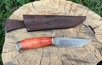 Нож Соболь (дамасская сталь,  карельская береза,  мельхиор) оранжевый/красный