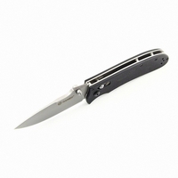 Нож складной Ganzo G704-BK (ст.440С, в чехле, черный)