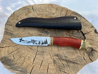 Нож "Коршун" (ст. 95х18, кованая, навершие и литье мельхиор, дер. падук, гравировка, разные рис)